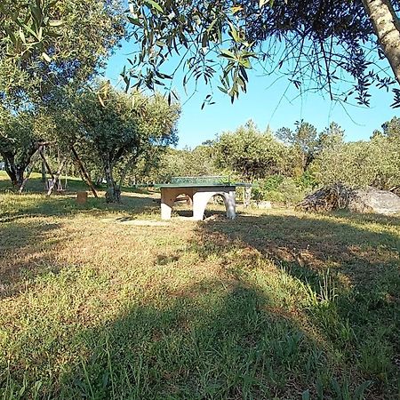 Quinta Da Pedra Mija Guest House Santar Exterior photo