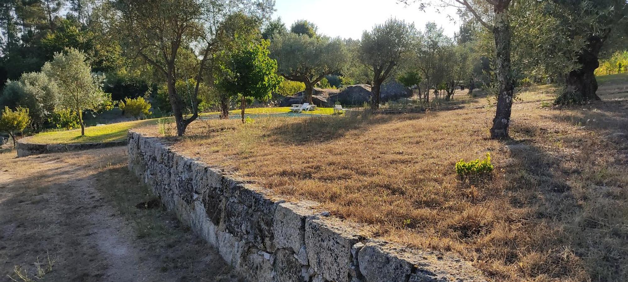 Quinta Da Pedra Mija Guest House Santar Exterior photo