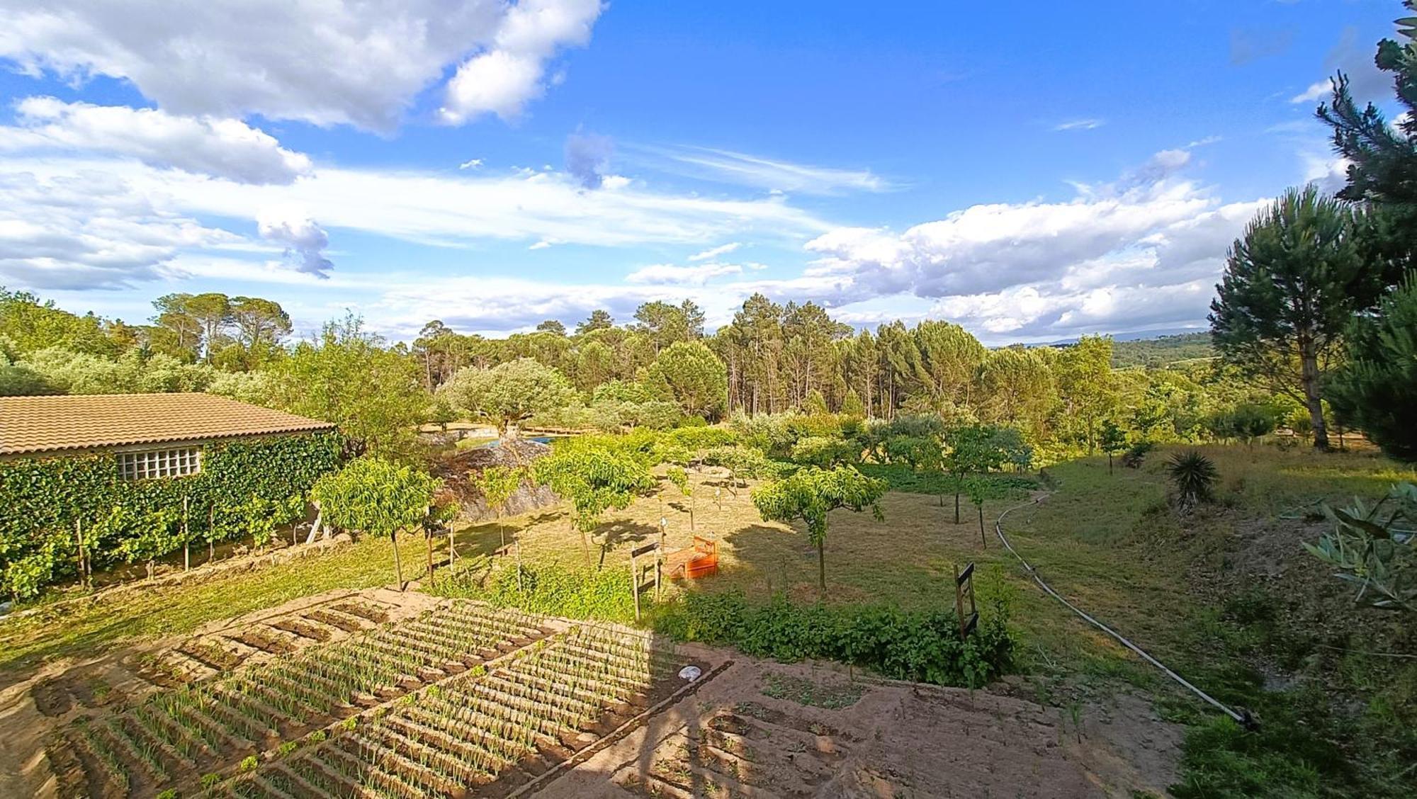 Quinta Da Pedra Mija Guest House Santar Exterior photo