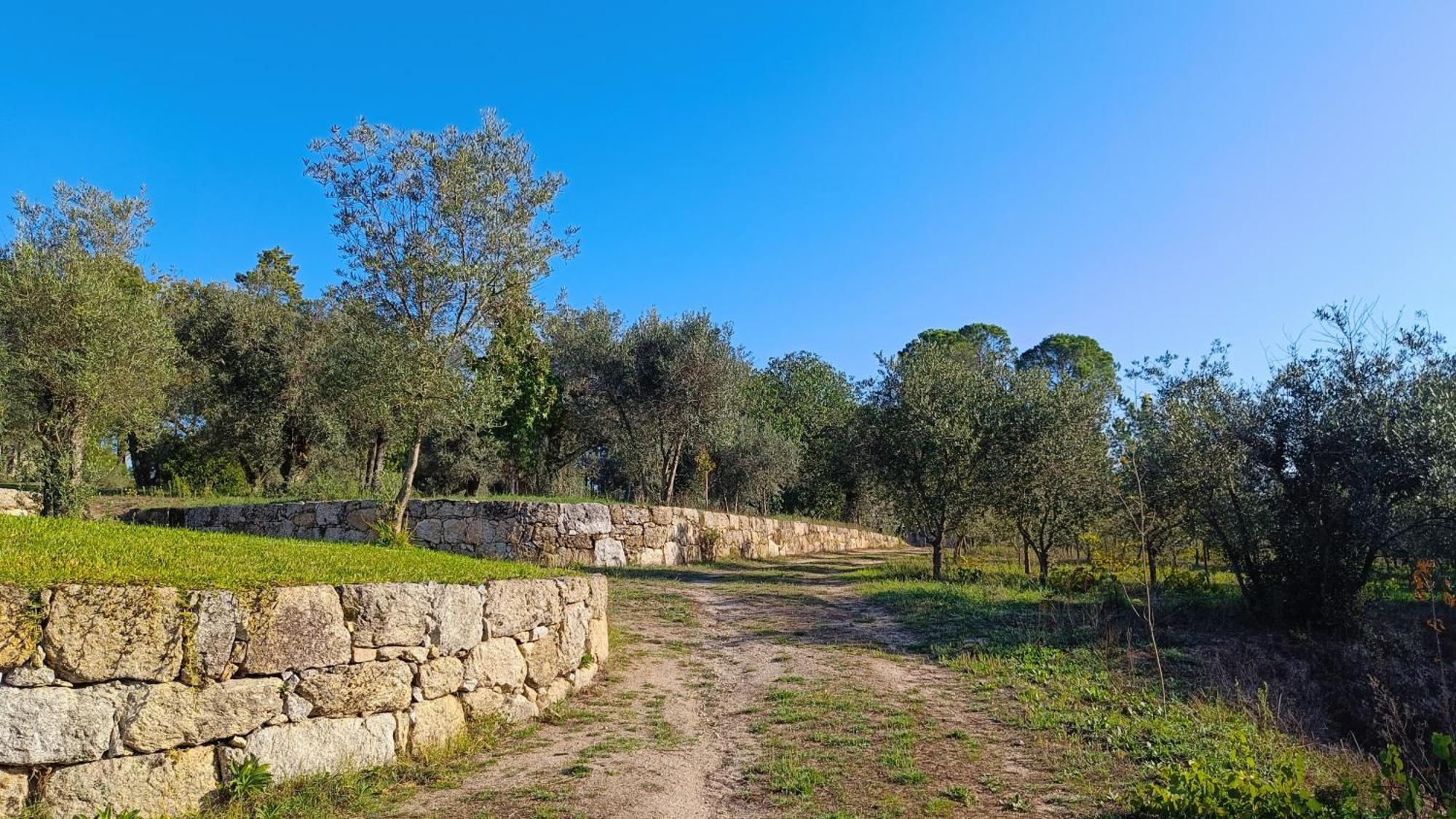 Quinta Da Pedra Mija Guest House Santar Exterior photo