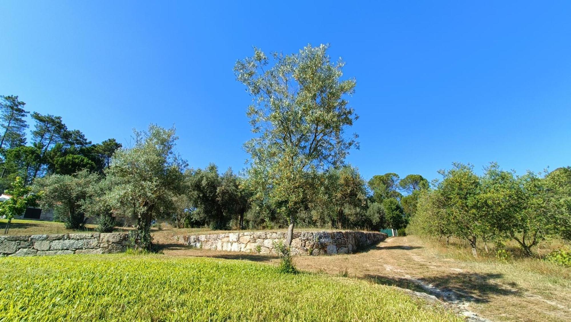 Quinta Da Pedra Mija Guest House Santar Exterior photo